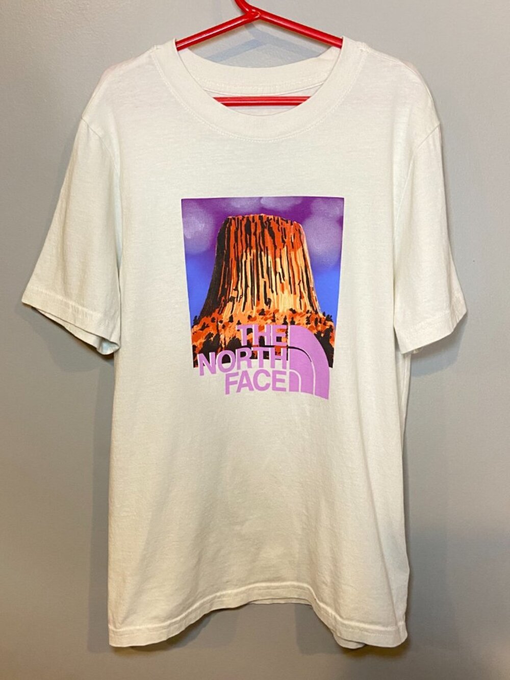 The North Face Boys Landscape Graphic T-Shirt Size Large 100% Cotton - Picture 5 of 8